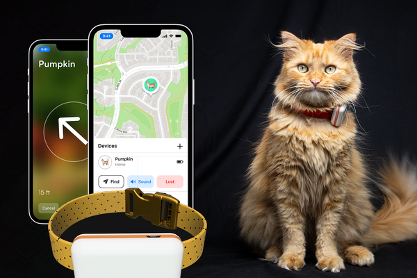 FindMyCat - The Open Source Pet Tracker